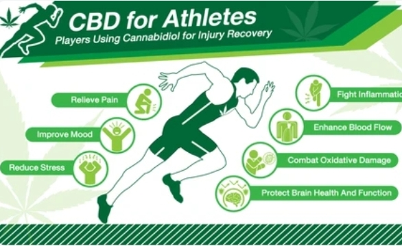 cbd extrakt